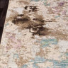 ROXY WF-D734-BEIGE-STAN.jpg