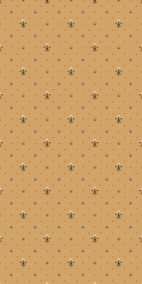 Ковровая дорожка VALENCIA P036 BEIGE