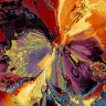 2927_multicolor.jpg