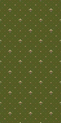 Ковровая VALENCIA DELUXE P036 GREEN
