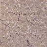 Турецкий ковер REGINA-O0271-050-PURPLE-STAN