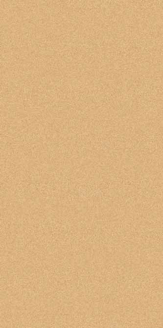 Ковровая дорожка COMFORT SHAGGY S600 BEIGE-D.BEIGE Российский ковер КОМФОРТ ШАГГИ фабрики Меринос S600 BEIGE-D.BEIGE Цена указана за 1 квадратный метр
