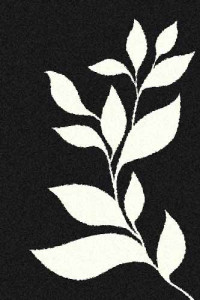 Прямоугольный ковер PLATINUM T647 BLACK-NATURAL