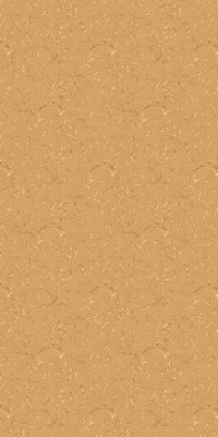 Ковровая дорожка VALENCIA P002 BEIGE