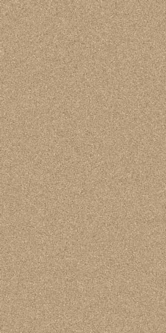 Ковровая дорожка PLATINUM T600 BEIGE-D.BEIGE Российский ковер ПЛАТИНУМ фабрики Меринос T600 BEIGE-D.BEIGE Цена указана за 1 квадратный метр