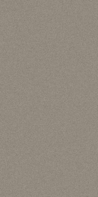 Ковровая дорожка PLATINUM T600 GRAY Российский ковер ПЛАТИНУМ фабрики Меринос T600 GRAY Цена указана за 1 квадратный метр